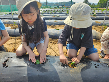 KakaoTalk_20250513_112317873.jpg